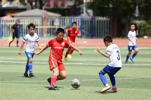 山东球迷遭,欠款困境,命悬一线,华体会体育app下载,华体会体育官网,华体会体育官方网站,华体会体育平台