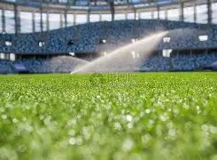 山东球迷遭,欠款困境,命悬一线,华体会体育app下载,华体会体育官网,华体会体育官方网站,华体会体育平台