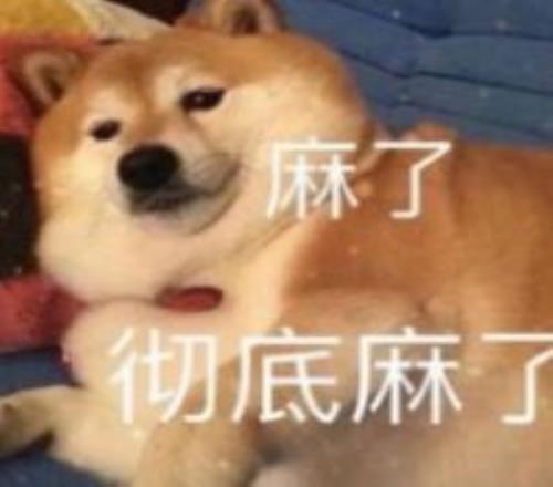 奥运健儿荣,耀征途,卓越运动员,华体会体育app下载,华体会体育官网,华体会体育官方网站,华体会体育平台