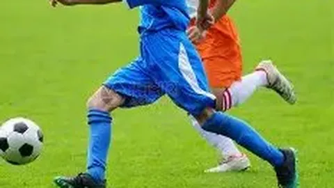 华体会体育 资讯 083429 dof