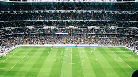 达利奇自信：进球虽失不影响士气，坚信球队挺进欧国联决赛有望